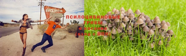марки nbome Алзамай