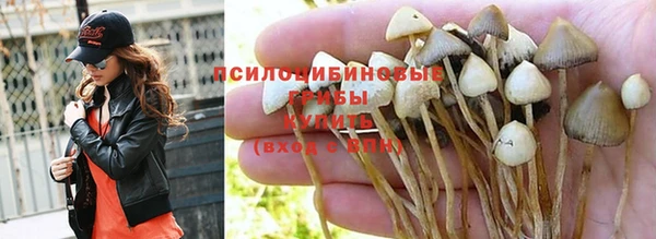 гашишное масло Михайлов