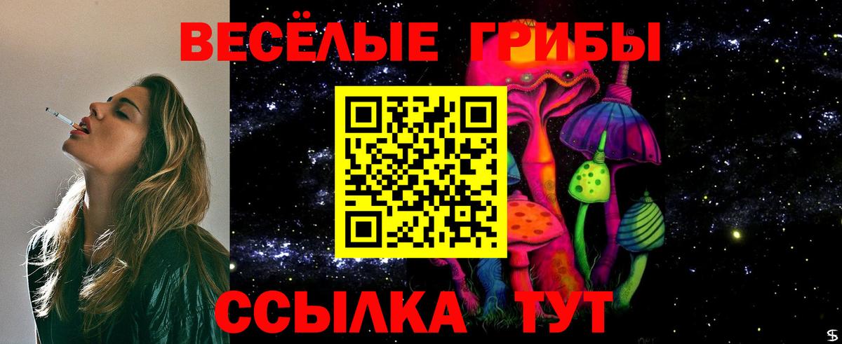 Нефтекамск  Псилоцибиновые грибы GOLDEN TEACHER  купить закладку  Вход с VPN 