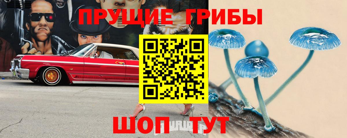 Псилоцибиновые грибы Psilocybine cubensis Нефтекамск